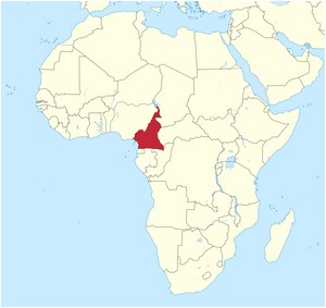 00200000-2000px-Cameroun.jpg