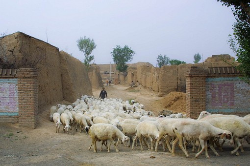 B0707096 - Shanxi Countryside