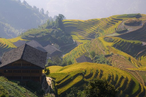 B1001166 - Longi Terrasses