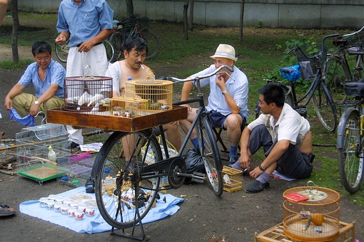 C0714004 - Birds Market