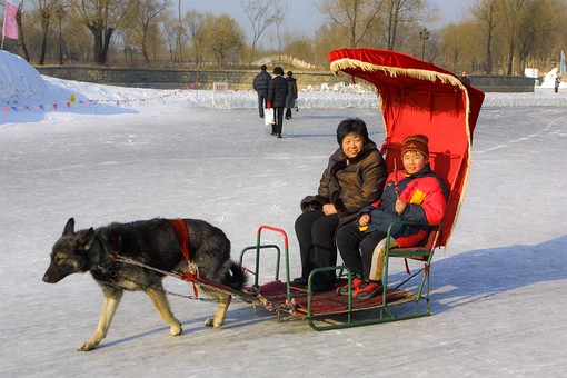 D0125271 - Snow Statues 2003