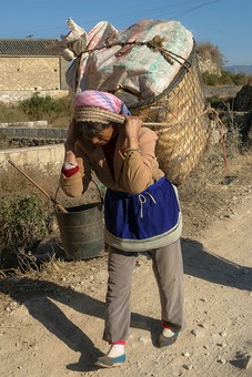 E0112132 - Shaping Market