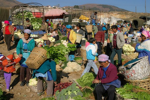 E0112155 - Shaping Market