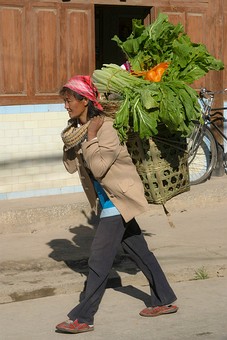 E0112222 - Shaping Market