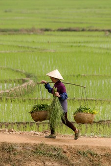 E0114182 - Mafeilong Village