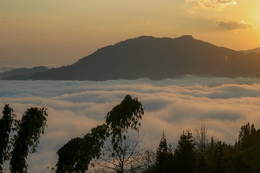 E0118004 - Rice Terraces 1