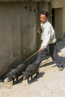 E0118191 - Village Hani