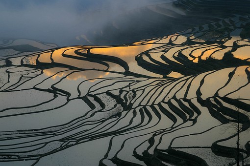 E0119074 - Rice Terraces 1