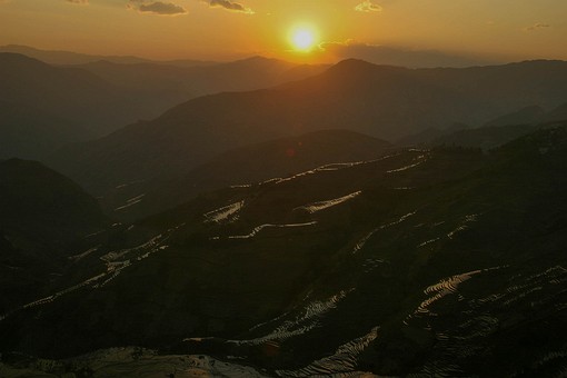 E0119527 - Rice Terraces 1