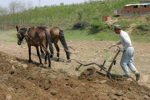 E0509015 - Plowing-Sowing