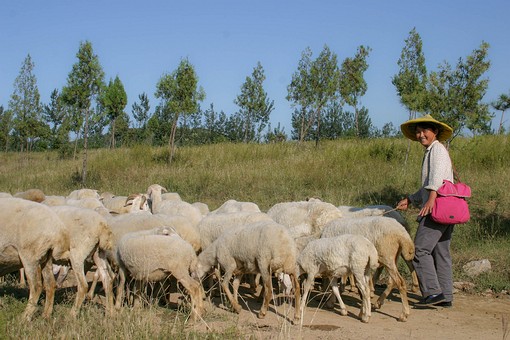 E0918245 - Local life