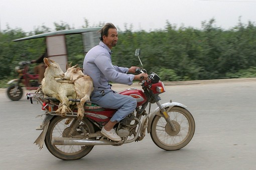 E0926222 - Local Life