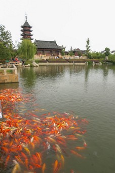 E1003349 - Panmen park