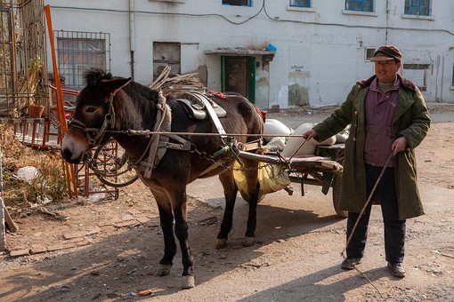 G1112035 - Street Scenes