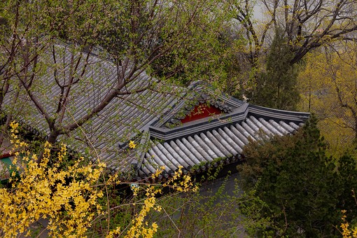 H0411394 - Behai Park