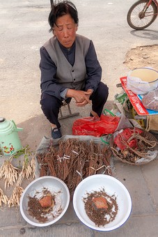 H0502439 - Scorpion Market
