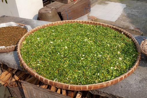 M0326454 - Village Scenary