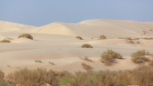 M1001111 - Desert Dunes