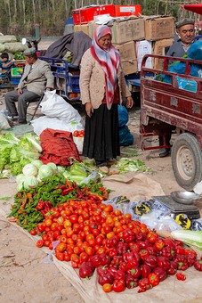 M1004114 - Market-General