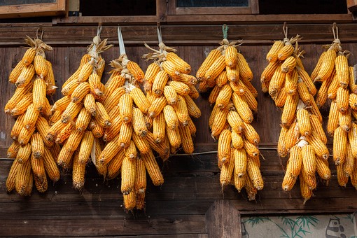 N0929018 - Lengde-Upper Village