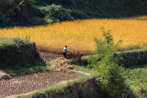 N0929623 - Jidao-Lower Village