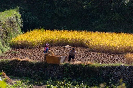 N0929674 - Jidao-Lower Village