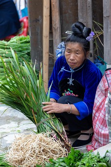 N1001053 - Traditional Village