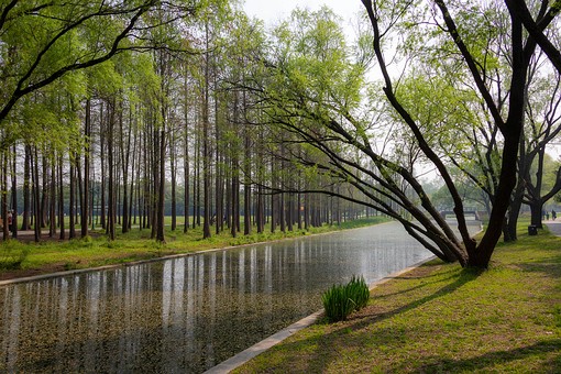 O0405079 - Gongqing Forest Park