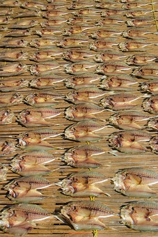 D0814233 - Fishing Village