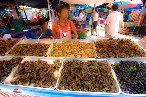 I0718568 - Wat Phra Phutthabat