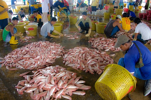 I0821312 - Ranong City