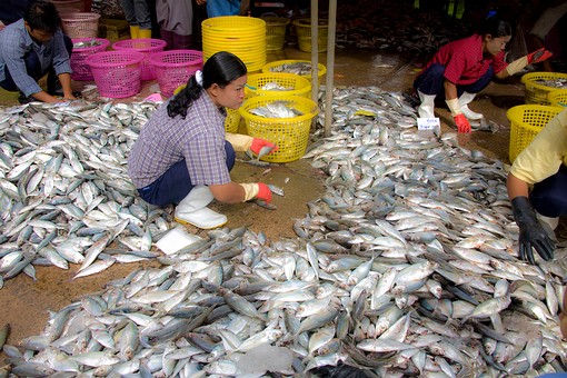 I0821325 - Ranong City