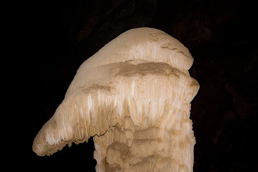 I0826035 - Tham Erawan