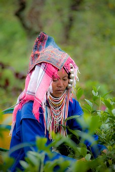 I1103075 - Mae Salong