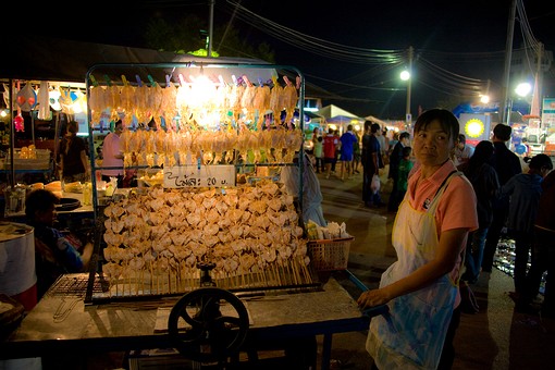 I1122767 - 2008-Elephant Round-