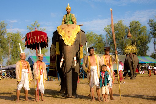 I1123232 - 2008-Elephant Round-