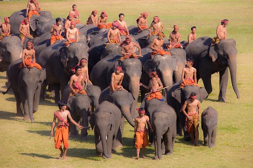 I1123390 - 2008-Elephant Round-