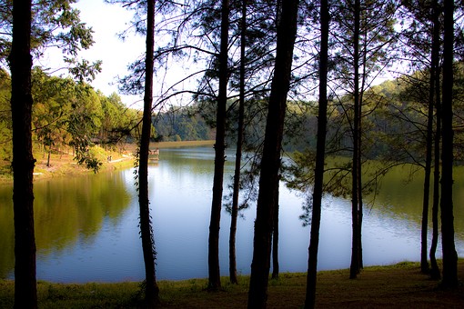 I1224269 - Ban Rak Thai