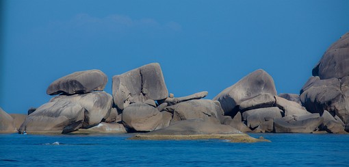 J1222102 - Koh Similan - Donald