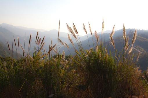 K0201507 - Doi Phu Kha Np