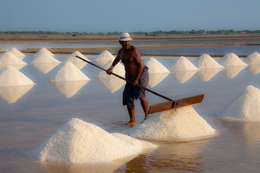 K0220212 - Salt Fields