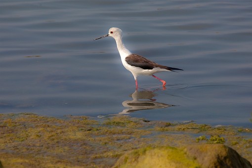 K0227011 - Ban Pak Khlong Pramo