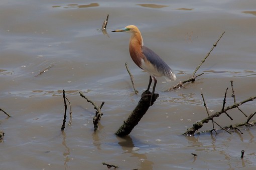 K0522291 - Ban Pak Khlong Pramo