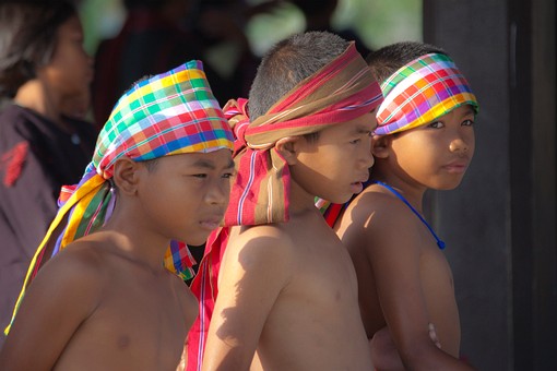 K1120090 - 2010-Elephant Round 