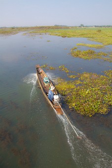 K1203558 - Nong Harn