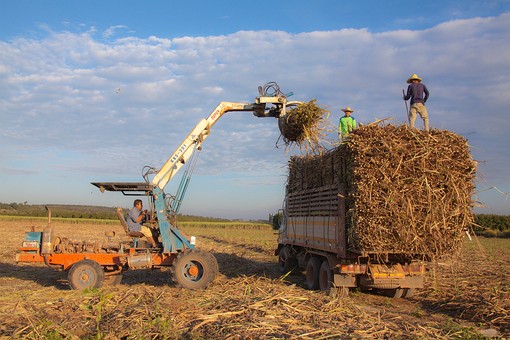 L0108448 - 07 Truck Loading - K