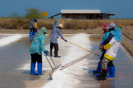 L0220383 - Salt Farms