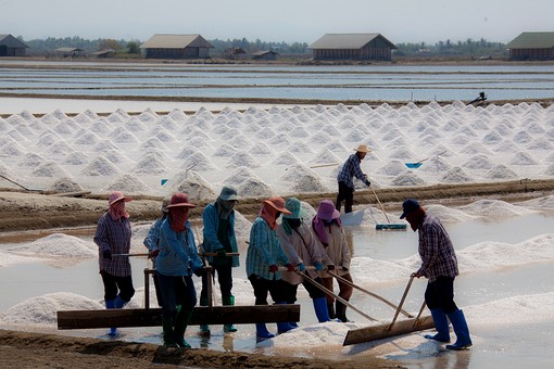 L0220407 - Salt Farms