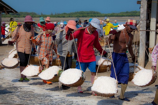 L0220482 - Salt Farms