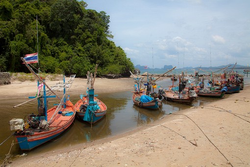 L0719190 - Hat Bang Boet